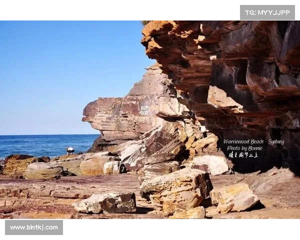 安联赞助商的五个令人惊喜又鲜为人知的趣味事实揭秘